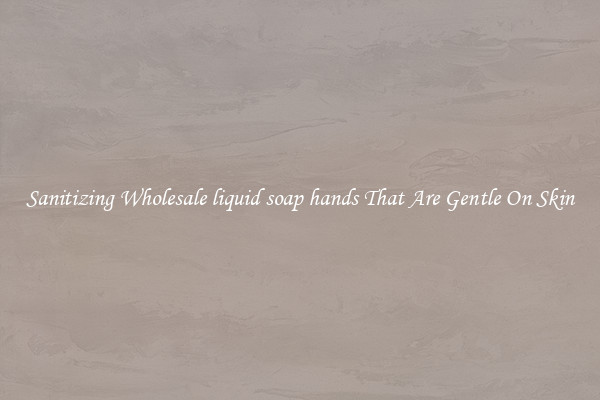 Sanitizing Wholesale liquid soap hands That Are Gentle On Skin