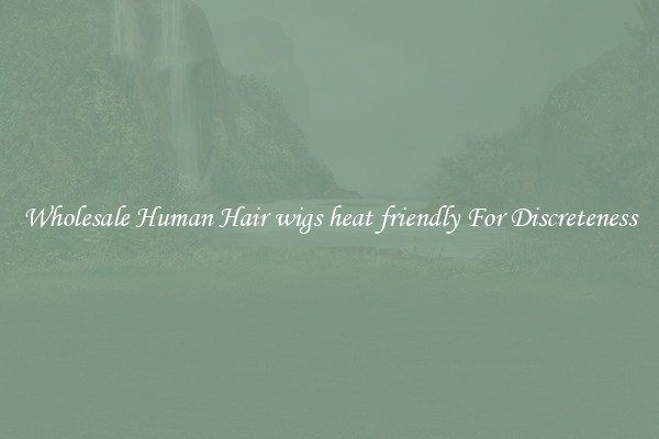 Wholesale Human Hair wigs heat friendly For Discreteness