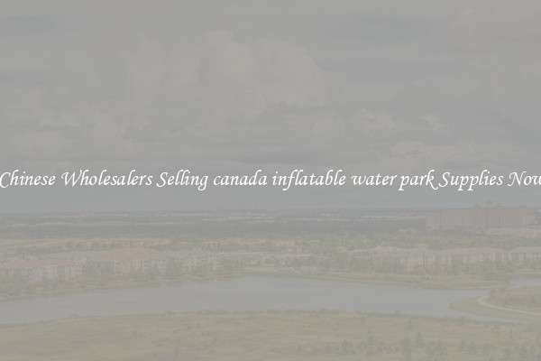 Chinese Wholesalers Selling canada inflatable water park Supplies Now