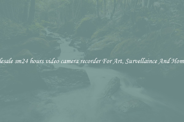 Wholesale sm24 hours video camera recorder For Art, Survellaince And Home Use