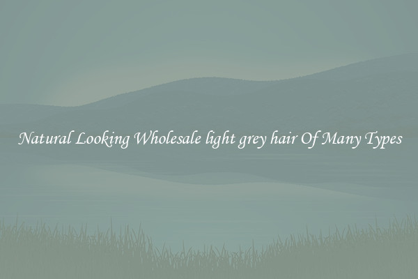 Natural Looking Wholesale light grey hair Of Many Types