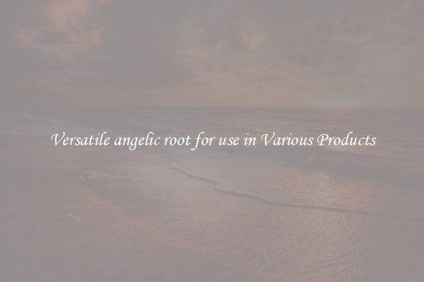 Versatile angelic root for use in Various Products