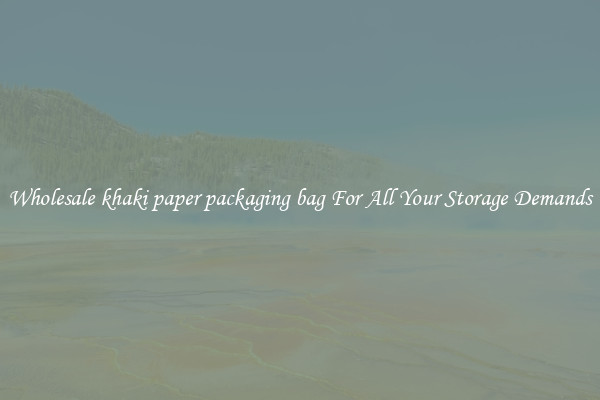 Wholesale khaki paper packaging bag For All Your Storage Demands
