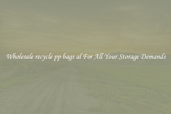 Wholesale recycle pp bags al For All Your Storage Demands