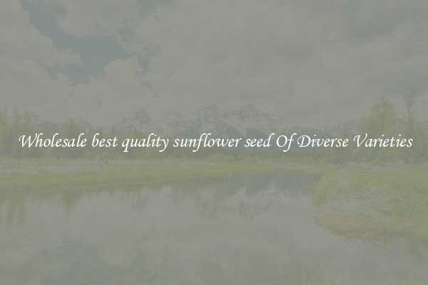 Wholesale best quality sunflower seed Of Diverse Varieties