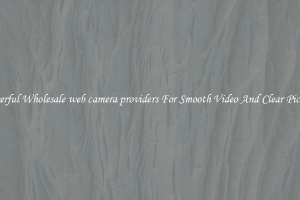 Powerful Wholesale web camera providers For Smooth Video And Clear Pictures