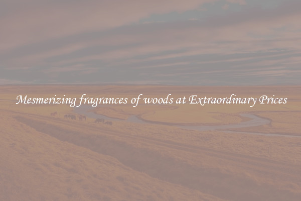 Mesmerizing fragrances of woods at Extraordinary Prices