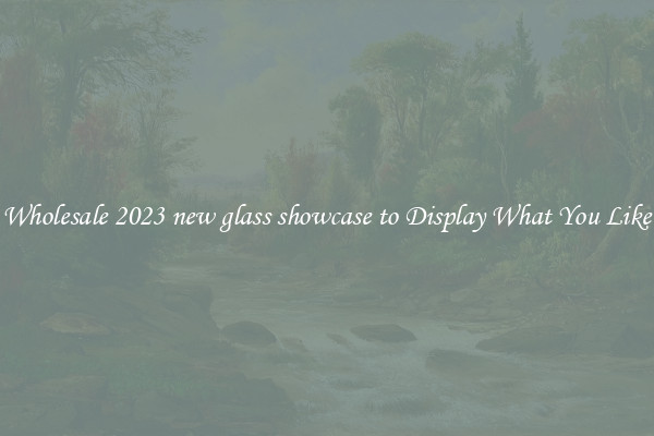 Wholesale 2023 new glass showcase to Display What You Like