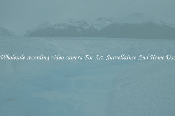 Wholesale recording video camera For Art, Survellaince And Home Use