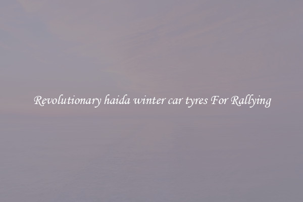 Revolutionary haida winter car tyres For Rallying