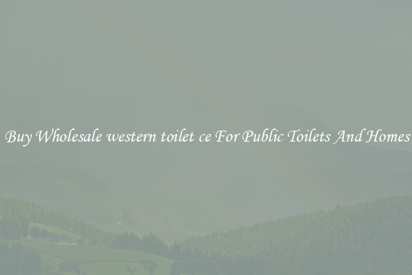 Buy Wholesale western toilet ce For Public Toilets And Homes