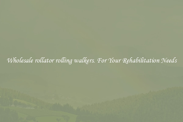 Wholesale rollator rolling walkers. For Your Rehabilitation Needs