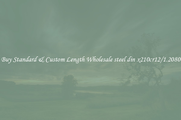 Buy Standard & Custom Length Wholesale steel din x210cr12/1.2080