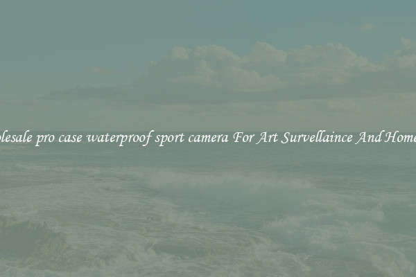 Wholesale pro case waterproof sport camera For Art Survellaince And Home Use