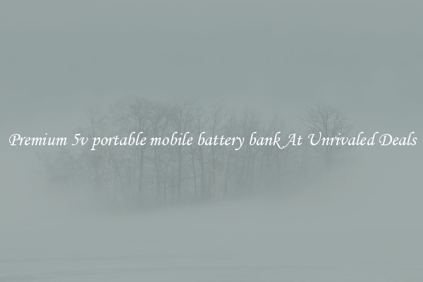 Premium 5v portable mobile battery bank At Unrivaled Deals