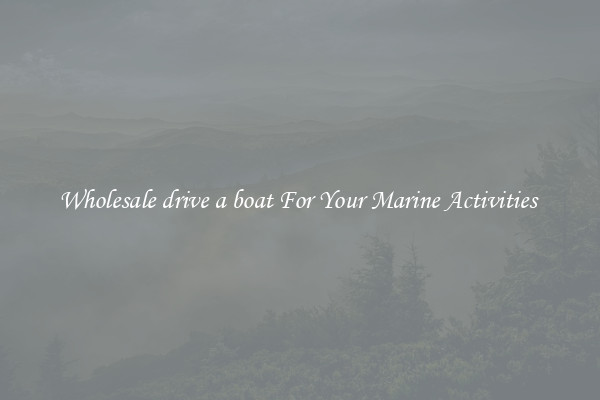 Wholesale drive a boat For Your Marine Activities 