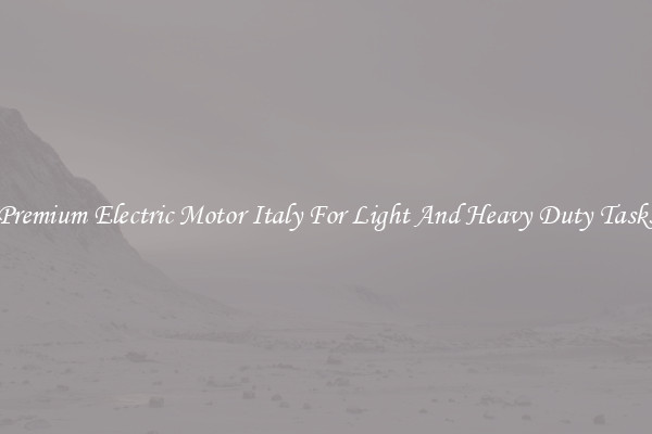 Premium Electric Motor Italy For Light And Heavy Duty Tasks
