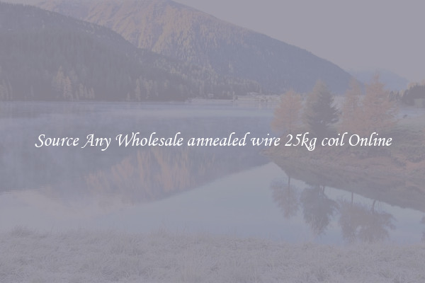 Source Any Wholesale annealed wire 25kg coil Online