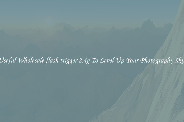 Useful Wholesale flash trigger 2.4g To Level Up Your Photography Skill