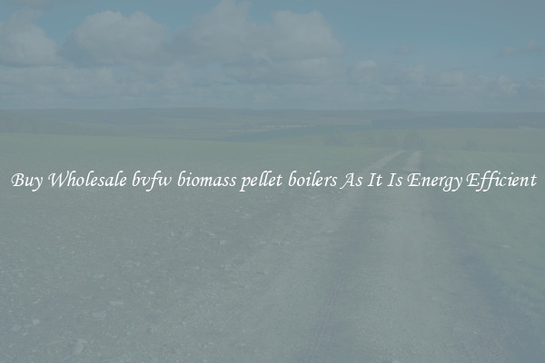 Buy Wholesale bvfw biomass pellet boilers As It Is Energy Efficient