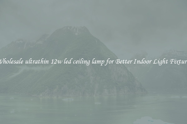 Wholesale ultrathin 12w led ceiling lamp for Better Indoor Light Fixtures